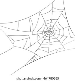 Vector Illustration of a Spiderweb on a White Background