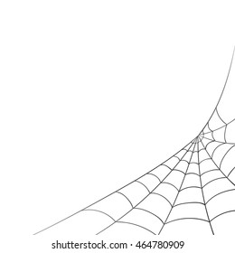 Vector Illustration of a Spiderweb on a White Background