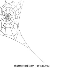 Vector Illustration of a Spiderweb on a White Background