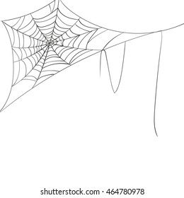 Vector Illustration of a Spiderweb on a White Background