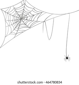 Vector Illustration of a Spiderweb and a Spider on a White Background