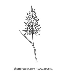 Ilustración vectorial de una aguja. Elemento aislado sobre un fondo blanco. Contacto. Doodle. Hierba de campo, planta silvestre.
