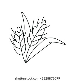 Vektorgrafik von Spikelet im Weizendoodle-Stil. Einzeln auf weißem Hintergrund