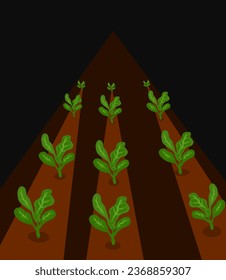 vector illustration of spinach farmer, spinach garden, vegetable growing in the field - Shutterstock ID 2368859307