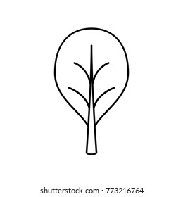 Vector illustration of spinach. Flat, color. Vivid picture of a vegetable. Fresh food.