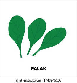 Vector illustration of Spinach / Palak