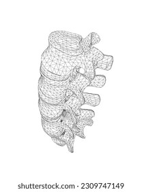 Vector illustration spine diagnostic symbol, design, sign. Vector icon. Line design. Spine bones and structure. Medicine and anatomy. Anatomical wireframe structure of man. Concept illustration..