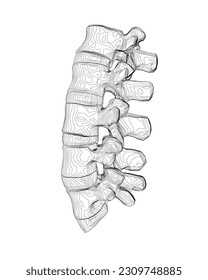 Vector illustration spine diagnostic symbol, design, sign. Vector icon. Line design. Spine bones and structure. Medicine and anatomy. Anatomical structure of man. Concept illustration..