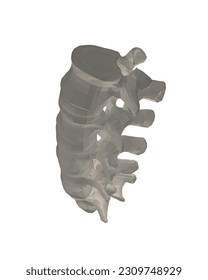 Vector illustration spine diagnostic symbol, design, sign. Vector icon. Line design. Spine bones and structure. Medicine and anatomy. Anatomical polygonal structure of man. Concept illustration. 3D..