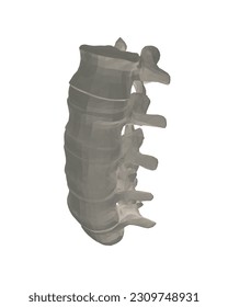 Vector illustration spine diagnostic symbol, design, sign. Vector icon. Line design. Spine bones and structure. Medicine and anatomy. Anatomical polygonal structure of man. Concept illustration. 3D..
