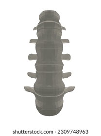 Wirbelsäulendiagnostik-Symbol, Design, Zeichen. Vektorsymbol. Liniendesign. Wirbelknochen und Struktur. Medizin und Anatomie. Anatomische polygonale Struktur des Menschen. Concept Illustration. 3D..