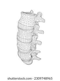 Vector illustration spine diagnostic symbol, design, sign. Vector icon. Line design. Spine bones and structure. Medicine and anatomy. Anatomical wireframe structure of man. Concept illustration..