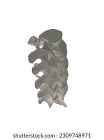 Vector illustration spine diagnostic symbol, design, sign. Vector icon. Line design. Spine bones and structure. Medicine and anatomy. Anatomical polygonal structure of man. Concept illustration. 3D..
