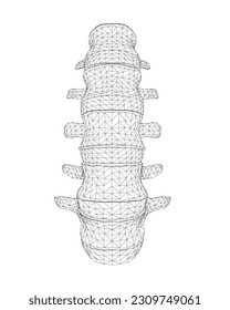 Vector illustration spine diagnostic symbol, design, sign. Vector icon. Line design. Spine bones and structure. Medicine and anatomy. Anatomical wireframe structure of man. Concept illustration..