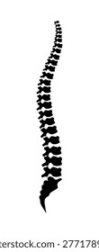 Vector illustration of a spine icon on a white background.