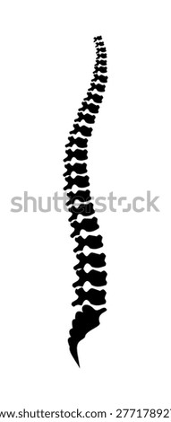 Vector illustration of a spine icon on a white background.