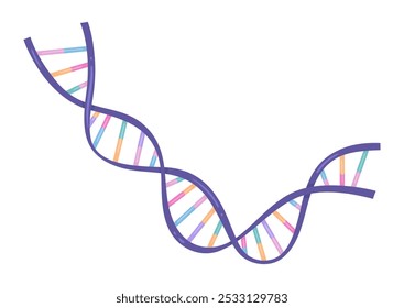 Ilustración vectorial de doble hélice de ADN en espiral aislada sobre fondo blanco.