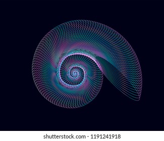 Vector illustration of spiral, holographic shell on dark background. Minimal, generative art.