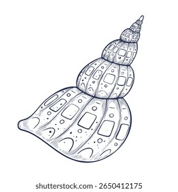 Ilustração vetorial de mar espiral Shell para design marinho ou convites náuticos. Desenho linear de concha ou litoral para decoração costeira. Esboço esboçado de Conch para cartões de saudação do oceano.