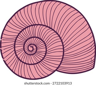 Ilustración vectorial de concha espiral con líneas finas, boceto estilizado para la naturaleza, Ilustración vectorial de concha espiral con líneas finas, boceto estilizado para la naturaleza, 