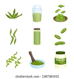 Vector illustration of spirulina and seaweed icon. Collection of spirulina and vegan stock vector illustration.