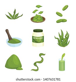 Vector illustration of spirulina and seaweed icon. Set of spirulina and vegan vector icon for stock.