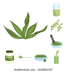Vector illustration of spirulina and seaweed logo. Collection of spirulina and vegan stock vector illustration.