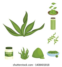 Vector illustration of spirulina and seaweed sign. Collection of spirulina and vegan vector icon for stock.