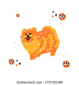 Vector illustration of Spitz dog. Cute hand drawn vector illustration.