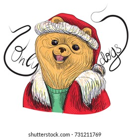 Vector illustration of spitz wearing Santa costume and Only Dogs lettering. Pet shop, kennel, Chinese new year, breeding, dog goods advertisement, promotion concepts
