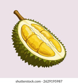 vector illustration of a split durian fruit