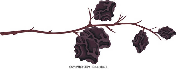 Vector illustration of spoiled grapes. Organic trash