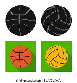 Vector illustration of sport and ball icon. Collection of sport and athletic stock symbol for web.