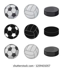 Vector illustration of sport and ball icon. Collection of sport and athletic stock vector illustration.