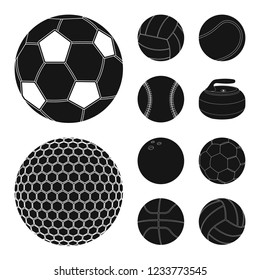 Vector illustration of sport and ball logo. Collection of sport and athletic stock symbol for web.