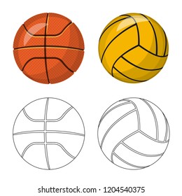 Vector illustration of sport and ball sign. Collection of sport and athletic stock vector illustration.
