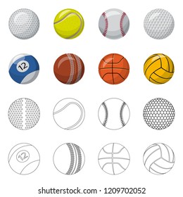 Vector illustration of sport and ball sign. Collection of sport and athletic stock symbol for web.