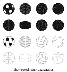 Vector illustration of sport and ball sign. Set of sport and athletic stock vector illustration.