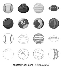 Vector illustration of sport and ball sign. Collection of sport and athletic vector icon.