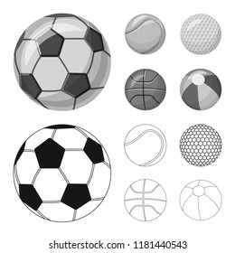 Vector illustration of sport and ball symbol. Collection of sport and athletic vector icon for stock.