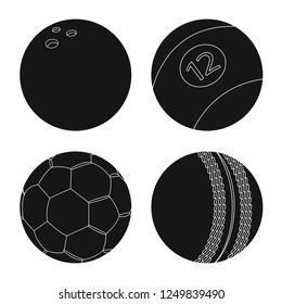 Vector illustration of sport and ball symbol. Set of sport and athletic stock symbol for web.