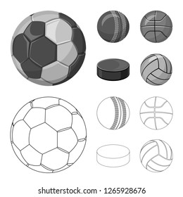 Vector illustration of sport and ball symbol. Set of sport and athletic stock vector illustration.