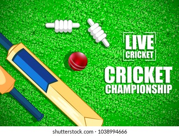 vector illustration of Sports background for the match of Cricket Championship Tournament