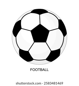 Vector illustration of sports ball. Football ball vector