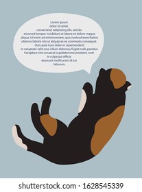 Vector illustration with spotted cat on blue background. Drawing of a pet with speech bubble for text.