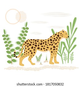 Vector illustration of a spotted Panther in the jungle. Wildlife, predators are Jaguar, Cheetah.