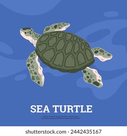 Vector illustration of a spotted sea turtle floating on the sea, top view, in a flat style. Illustrations of marine animals are ideal for the design of logos on the ocean theme.