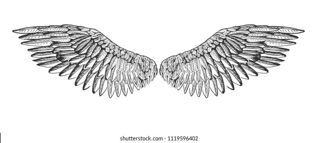 Vector illustration of a spread bird or angel wings. Vintage hand drawn etching, tattoo art style.