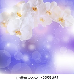 vector illustration of sprigs of white orchids on a purple background.