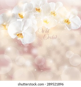 vector illustration of sprigs of white orchids on a beige background.